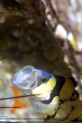 �����@��l